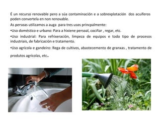É un recurso renovable pero a súa contaminación e a sobrexplotación dos acuíferos
poden convertela en non renovable.
As persoas utilizamos a auga para tres usos princpalmente:
•Uso doméstico e urbano: Para a hixiene persoal, cociñar , regar, etc.
•Uso industrial: Para refrixeración, limpeza de equipos e todo tipo de procesos
industriais, de fabricación e tratamento.
•Uso agrícola e gandeiro: Rega de cultivos, abastecemento de granxas , tratamento de
produtos agrícolas, etc   .
 