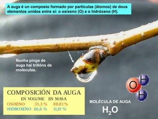 A auga | PPS