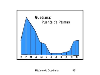 Réxime do Guadiana 45
 