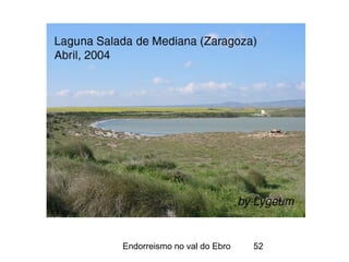Endorreismo no val do Ebro 52
 