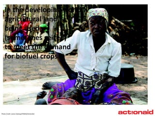 In the developing world  agricultural land is being used  (sometimes seized)  to meet the demand  for biofuel crops Photo Credit: James Oatway/PANOS/ActionAid 