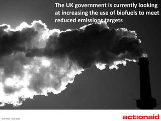 The UK government is currently looking  at increasing the use of biofuels to meet reduced emissions targets Flickr  Photo : Senor  Codo 