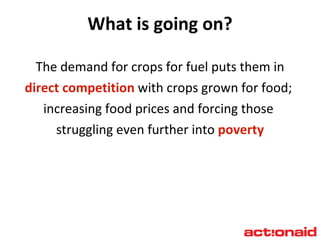 What is going on? The demand for crops for fuel puts them in direct competition  with crops grown for food;  increasing food prices and forcing those  struggling even further into  poverty 