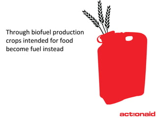 Through biofuel production  crops intended for food  become fuel instead 