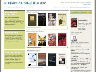 Aaup 2011 revisioning_chicago_website