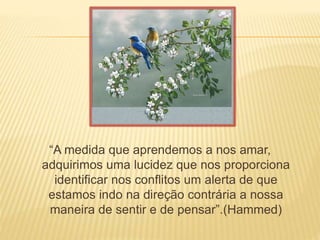 “A medida que aprendemos a nos amar,
adquirimos uma lucidez que nos proporciona
identificar nos conflitos um alerta de que
estamos indo na direção contrária a nossa
maneira de sentir e de pensar”.(Hammed)
 