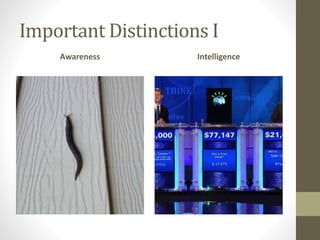 Important Distinctions I
Awareness Intelligence
 