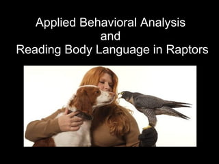 Applied Behavioral Analysis  and  Reading Body Language in Raptors 
