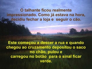 Este começou a descer a rua e quando chegou ao cruzamento depositou o saco no chão, pulou e carregou no botão  para o sinal ficar verde. O talhante ficou realmente impressionado. Como já estava na hora, decidiu fechar a loja e  seguir o cão.   