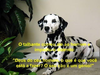 O talhante correu até ao homem e
impediu-o dizendo:
"Deus do céu homem, o que é que você
está a fazer? O seu cão é um génio!"
 