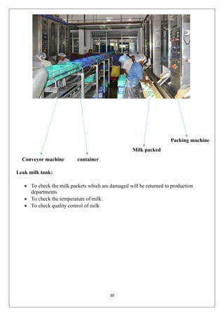 aavin project.pdf
