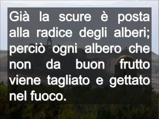 Già la scure è posta alla radice degli alberi; perciò ogni albero che non da buon frutto viene tagliato e gettato nel fuoco.