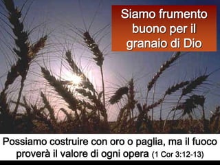 Siamo frumento buono per il granaio di DioPossiamo costruire con oro o paglia, ma il fuoco proverà il valore di ogni opera (1 Cor 3:12-13) 