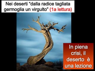 Nei deserti “dalla radice tagliata germoglia un virgulto” (1a lettura)In piena crisi, il deserto  è una lezione