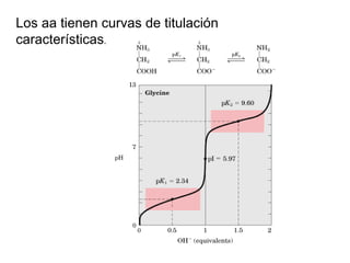 Los aa tienen curvas de titulación características .  