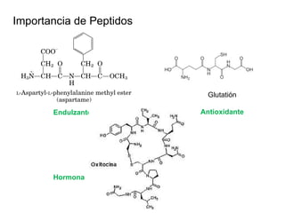 Importancia de Peptidos Endulzante.  Glutatión Antioxidante Hormona 