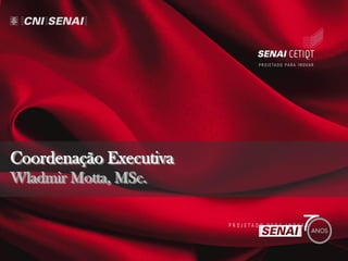 Coordenação Executiva
Wladmir Motta, MSc.
 