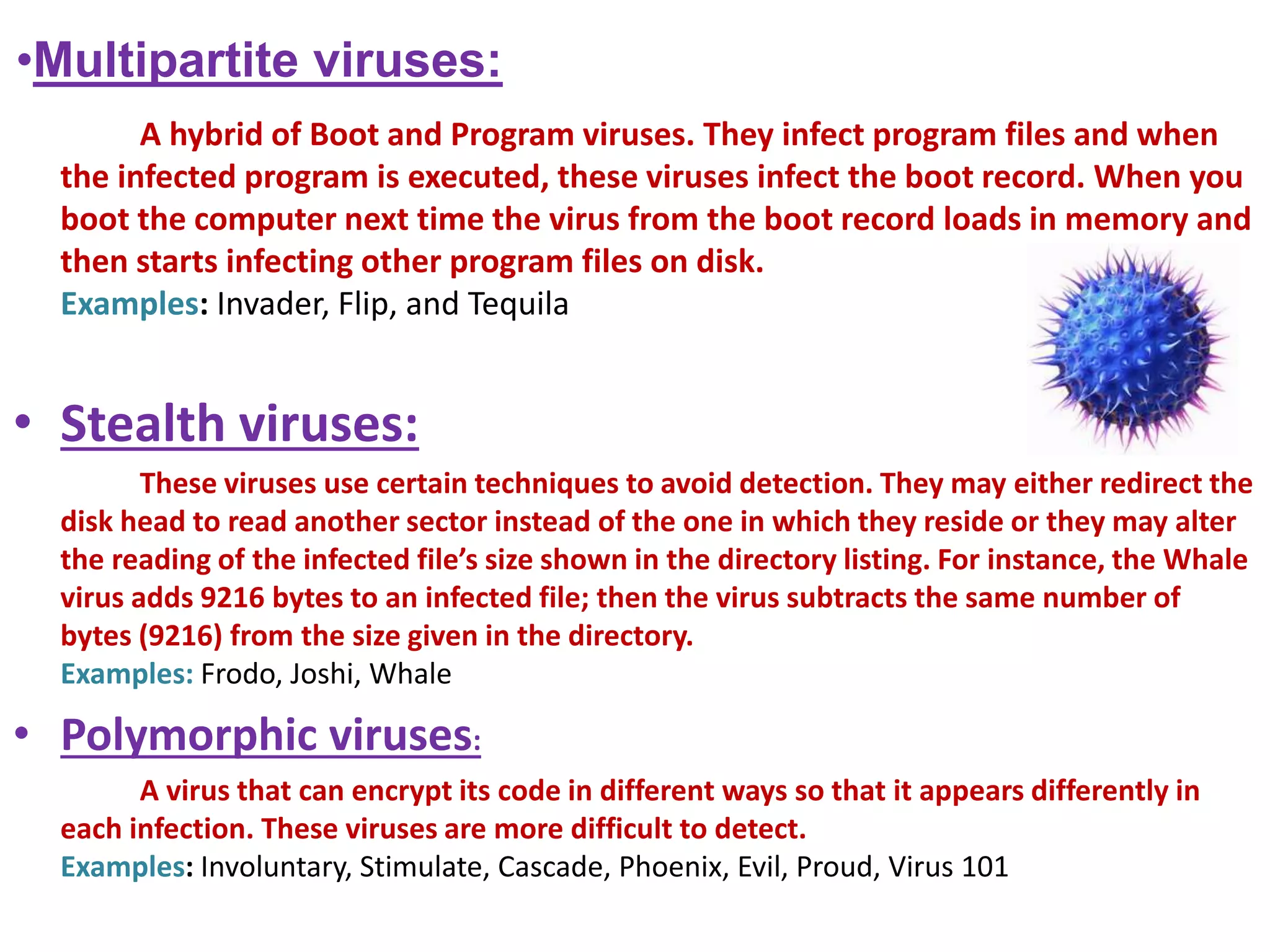 •Multipartite viruses: 
A hybrid of Boot and Program viruses. They infect program files and when 
the infected program is executed, these viruses infect the boot record. When you 
boot the computer next time the virus from the boot record loads in memory and 
then starts infecting other program files on disk. 
Examples: Invader, Flip, and Tequila 
• Stealth viruses: 
These viruses use certain techniques to avoid detection. They may either redirect the 
disk head to read another sector instead of the one in which they reside or they may alter 
the reading of the infected file’s size shown in the directory listing. For instance, the Whale 
virus adds 9216 bytes to an infected file; then the virus subtracts the same number of 
bytes (9216) from the size given in the directory. 
Examples: Frodo, Joshi, Whale 
• Polymorphic viruses: 
A virus that can encrypt its code in different ways so that it appears differently in 
each infection. These viruses are more difficult to detect. 
Examples: Involuntary, Stimulate, Cascade, Phoenix, Evil, Proud, Virus 101 
 