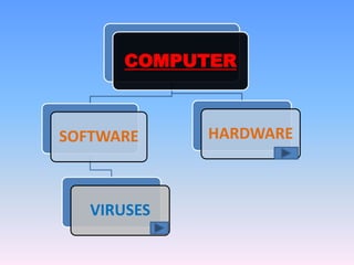 COMPUTER 
SOFTWARE 
VIRUSES 
HARDWARE 
 