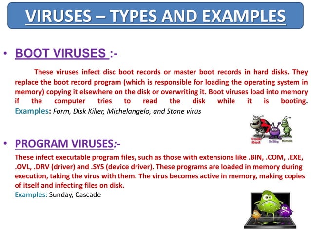 Computer Viruses | PPT