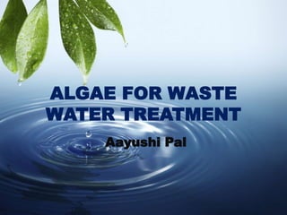 ALGAE FOR WASTE
WATER TREATMENT
Aayushi Pal
 