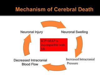 Neuronal Injury Neuronal Swelling
Decreased Intracranial
Blood Flow
Increased Intracranial
Pressure
ICP>MAP is
incompatible with
life
 