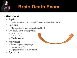 ◾ Brainstem
 Pupils
▪ ≥4-9mm, unresponsive to light* (enquire about Rx given)
 Corneals
▪ Movement of jaw or lids excludes NDD
 Vestibulo-ocular responses
▪ OCR (Doll’s)
▪ Caution if trauma
▪ Cold calorics
 Pharyngeal
▪ Stimulate posterior pharynx
▪ Suction the ETT
▪ Depress larynx, swallow reflex
 Apnea test
 