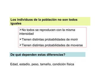 Los individuos de la población no son todos
iguales
No todos se reproducen con la misma
intensidad
Tienen distintas probabilidades de morir
Tienen distintas probabilidades de moverse
De qué dependen estas diferencias?
Edad, estadío, peso, tamaño, condición física
 