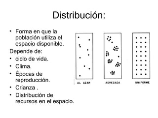 Distribución:
• Forma en que la
población utiliza el
espacio disponible.
Depende de:
• ciclo de vida.
• Clima.
• Épocas de
reproducción.
• Crianza .
• Distribución de
recursos en el espacio.
 