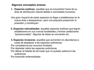 1. Especies exóticas: aquellas que se encuentran fuera de su
área de distribución natural debido a actividades humanas.
Una gran mayoría de estas especies no llega a establecerse en la
nueva área y desaparecen, pero una pequeña proporción si
presisten y constituyen:
2. Especies naturalizadas: aquellas especies exóticas que logran
establecerse en sus nuevas localidades y forman poblaciones
“autorenovadas”. Algunas de éstas se convierten en:
3. Especies invasoras: aquellas que aumentan en abundancia a
costa de desplazar a las especies autóctonas:
Por competencia por recursos limitados
Por depredar sobre las especies autóctonas
Por alterar el hábitat de tal modo que no puedan sobrevivir las
autóctonas
Por transmitir enfermedades
Algunos conceptos anexos
 