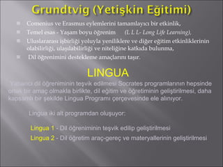 Comenius ve Erasmus eylemlerini tamamlayıcı bir etkinlik, Temel esas - Yaşam boyu öğrenim  (L L L- Long Life Learning),   Uluslararası işbirliği yoluyla yeniliklere ve diğer eğitim etkinliklerinin olabilirliği, ulaşılabilirliği ve niteliğine katkıda bulunma, Dil öğrenimini destekleme amaçlarını taşır.  Yabancı dil öğreniminin teşvik edilmesi Socrates programlarının hepsinde ortak bir amaç olmakla birlikte, dil eğitim ve öğretiminin geliştirilmesi, daha kapsamlı bir şekilde Lingua Programı çerçevesinde ele alınıyor.  Lingua iki alt programdan oluşuyor: Lingua 1  - Dil öğreniminin teşvik edilip geliştirilmesi  Lingua 2  - Dil öğretim araç-gereç ve materyallerinin geliştirilmesi   LINGUA 