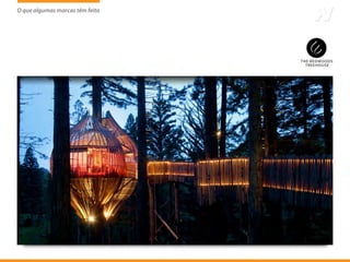 O que algumas marcas têm feito
                     tem
 