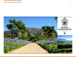 O que algumas marcas têm feito
                     tem
 