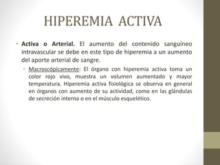 HIPEREMIA ACTIVA
• Activa o Arterial. El aumento del contenido sanguíneo
intravascular se debe en este tipo de hiperemia a un aumento
del aporte arterial de sangre.
• Macroscópicamente: El órgano con hiperemia activa toma un
color rojo vivo, muestra un volumen aumentado y mayor
temperatura. Hiperemia activa fisiológica se observa en general
en órganos con aumento de su actividad, como en las glándulas
de secreción interna o en el músculo esquelético.
 