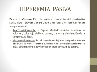 HIPEREMIA PASIVA
• Pasiva o Venosa. En este caso el aumento del contenido
sanguíneo intravascular se debe a un drenaje insuficiente de
sangre venosa.
• Macroscópicamente: el órgano afectado muestra aumento de
volumen, color rojo violáceo oscuro, cianosis y disminución de la
temperatura local.
• Microscópicamente: En el caso de un hígado congestionado, se
observan las venas centrolobulillares y los sinusoides próximos a
ellas, están distendidas y contienen gran cantidad de sangre.
 