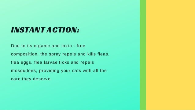 natural care flea spray