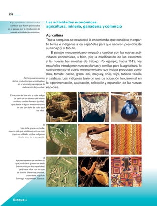 136


        Aquí aprenderás a reconocer los              Las actividades económicas:
        cambios que fueron provocados
                                                     agricultura, minería, ganadería y comercio
      en el paisaje por la introducción de
         nuevas actividades económicas.
                                                     Agricultura
                                                     Tras la conquista se estableció la encomienda, que consistía en repar-
                                                     tir tierras e indígenas a los españoles para que sacaron provecho de
                                                     su trabajo y el tributo.
                                                          El paisaje mesoamericano empezó a cambiar con las nuevas acti-
                                                     vidades económicas, o bien, por la modificación de las existentes
                                                     y las nuevas herramientas de trabajo. Por ejemplo, hacia 1519, los
                                                     españoles introdujeron nuevas plantas y semillas para la agricultura, lo
                                                     cual diversificó el cultivo mesoamericano que incluía productos como
                                                     maíz, tomate, cacao, grana, añil, maguey, chile, frijol, tabaco, vainilla
                         Aún hoy usamos varios       y calabaza. Los indígenas tuvieron una participación fundamental en
            de los productos que se cultivaban
                  en el virreinato para apoyar la    la experimentación, adaptación, selección y expansión de las nuevas
                       elaboración de prendas:       especies.
                                                1
         Extracción del tinte añil o color índigo
              (a partir de un arbusto del mismo
             nombre, también llamado jiquilite),
          que desde la época mesoamericana
                 se usa para teñir de color azul
                                        los hilos.




                                              2
                    Uso de la grana cochinilla,
       insecto del que se obtiene un tono rojo
          y que era utilizado por los indígenas
                 desde antes de la conquista.




                                                3
                Aprovechamiento de las hebras
                que produce el gusano de seda
                 (introducido por los españoles)
                     para hacer hilos con los que
                   se bordan diferentes prendas,
                             como este huipil de
                Santiago Huajolotitlán, Oaxaca.




             Bloque 4

Historia 4o.indb 136                                                                                                             06/04/11 11:56
 