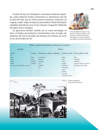137


                    A pesar de que se introdujeron numerosos productos agríco-
                las, varias especies locales conservaron su importancia; ése fue
                el caso del maíz, que se volvió el primer producto comercial, y el
                maguey, usado, según la especie, para producir fibras (henequén)
                y bebidas alcohólicas como el vino mezcal o “vingarrote” (obtenido
                del agave azul) y el pulque.
                    La agricultura también cambió con la nueva tecnología, es
                                                                                                            En la actualidad, el pulque es muy
                decir, el empleo de productos y herramientas como el arado, los                             popular en algunas regiones; a las
                azadones, las hoces, las palas, las tenazas y los molinos, así como                         personas que sacan el aguamiel
                                                                                                            del maguey, con el que se prepara
                el uso de animales de tiro.                                                                 esta bebida, se les llama tlachiqueros.



                                               Plantas y animales introducidos en América por los españoles

                 		         Animales                                                      Plantas
                 	
                 caballo                           Cereales   Hortalizas, verduras y legumbres   Árboles frutales   Para producir textiles
                 res
                 mula                              trigo      zanahoria     lenteja              higo               lino
                 oveja                             arroz      rábano        haba                 vid                algodón
                 cabra                             cebada     lechuga       acelga               olivo              cáñamo
                 cerdo                             centeno    col           espinaca             nogal              morera (para la crianza
                 aves de corral (gallina y pato)              cebolla       cilantro             durazno            del gusano de seda)
                                                              ajo           perejil              manzana
                                                                                                 pera
                                                                                                 limón
                                                                                                 naranja
                                                                                                 caña de azúcar


                                                                                                         Esclavos trabajando
                                                                                                         en la producción del añil.




Historia 4o.indb 137                                                                                                                            06/04/11 11:56
 