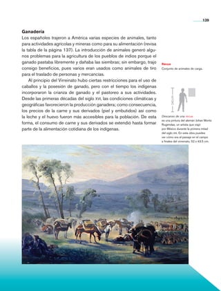 139


                Ganadería
                Los españoles trajeron a América varias especies de animales, tanto
                para actividades agrícolas y mineras como para su alimentación (revisa
                la tabla de la página 137). La introducción de animales generó algu-
                nos problemas para la agricultura de los pueblos de indios porque el
                ganado pastaba libremente y dañaba las siembras; sin embargo, trajo         Recua
                consigo beneficios, pues varios eran usados como animales de tiro           Conjunto de animales de carga.
                para el traslado de personas y mercancías.
                    Al principio del Virreinato hubo ciertas restricciones para el uso de
                caballos y la posesión de ganado, pero con el tiempo los indígenas
                incorporaron la crianza de ganado y el pastoreo a sus actividades.




                                                                                                   140 cm
                Desde las primeras décadas del siglo xvi, las condiciones climáticas y
                geográficas favorecieron la producción ganadera; como consecuencia,
                los precios de la carne y sus derivados (piel y embutidos) así como
                la leche y el huevo fueron más accesibles para la población. De esta        Descanso de una recua
                                                                                            es una pintura del alemán Johan Moritz
                forma, el consumo de carne y sus derivados se extendió hasta formar         Rugendas, un artista que viajó
                parte de la alimentación cotidiana de los indígenas.                        por México durante la primera mitad
                                                                                            del siglo xix. En esta obra puedes
                                                                                            ver cómo era el paisaje en el campo
                                                                                            a finales del virreinato, 52 x 43.5 cm.




Historia 4o.indb 139                                                                                                         06/04/11 11:56
 