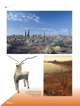 28




                           Los habitantes de Aridoamérica
                        tuvieron que sobrevivir en este tipo
                               de paisajes, donde cazaban
                                        conejos y venados.




             Bloque 1

Historia 4o.indb 28                                            06/04/11 11:52
 