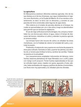 74


                                                    La agricultura
                                                    En Mesoamérica existieron diferentes sistemas agrícolas. Uno de los
                                                    que destaca es el de las chinampas, que sigue empleándose en luga-
                                                    res como Xochimilco, en la Ciudad de México. En él se siembra cons-
                                                    tantemente; es decir, la tierra casi no descansa, y consiste en usar
                                                    parcelas de tierra construidas sobre lagunas de agua dulce.
                                                        Otro sistema es el empleo de parcelas abiertas en el bosque, las
                                                    cuales se aprovechaban por uno o dos años y luego se abandonaban
                                                    para permitir que se renovara la vegetación.
                                                        El uso de riego artificial proveniente de lagos, ríos, arroyos y manan-
                                                    tiales fue una técnica para retener el agua, reducir el tiempo de des-
                                                    canso del terreno, intensificar el cultivo y extender la práctica agrícola
                                                    en terrenos áridos.
                                                        Las terrazas fueron otro recurso de cultivo; se utilizaban las áreas
                                                    montañosas, con la finalidad de retener la humedad del suelo y con-
                                                    trolar la erosión.
                                                        Finalmente, el sistema de roza y quema era una forma de preparar la
                                                    tierra para cultivarla. Consistía en talar y quemar las plantas y los árbo-
                                                    les de un terreno para fertilizar la tierra y sembrar las semillas. Todavía
                                                    se practica en la actualidad.
                                                        Los mesoamericanos empleaban instrumentos de labranza, como
                                                    hachas, bastones plantadores de hojas (llamados coa o uictli) y palas
                                                    con mango (uictli axoquen). Tenían huertas especializadas en las que
                                                    se cultivaba nopal, cacao, nopales con grana, aguacate y frutas; ade-
                                                    más, había sembradíos de maguey y jardines de plantas ornamentales.
                                                    Las flores eran muy apreciadas y se utilizaban para las ofrendas.




             A partir del cultivo y reproducción
           del teocintle, primera planta de maíz
             en América, se fueron obteniendo
                otras variedades de maíz, como
              las que actualmente conocemos.
                    Códice Florentino, siglo xvi.




             Bloque 2

Historia 4o.indb 74                                                                                                               06/04/11 11:54
 