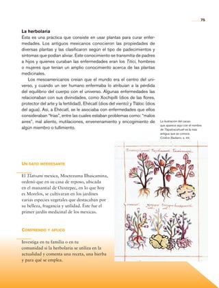 75


                La herbolaria
                Ésta es una práctica que consiste en usar plantas para curar enfer-
                medades. Los antiguos mexicanos conocieron las propiedades de
                diversas plantas y las clasificaron según el tipo de padecimientos y
                síntomas que podían aliviar. Este conocimiento se transmitía de padres
                a hijos y quienes curaban las enfermedades eran los Titici, hombres
                o mujeres que tenían un amplio conocimiento acerca de las plantas
                medicinales.
                    Los mesoamericanos creían que el mundo era el centro del uni-
                verso, y cuando un ser humano enfermaba lo atribuían a la pérdida
                del equilibrio del cuerpo con el universo. Algunas enfermedades las
                relacionaban con sus divinidades, como Xochipilli (dios de las flores,
                protector del arte y la fertilidad), Ehécatl (dios del viento) y Tláloc (dios
                del agua). Así, a Ehécatl, se le asociaba con enfermedades que ellos
                consideraban “frías”, entre las cuales estaban problemas como: “malos
                aires”, mal aliento, mutilaciones, envenenamiento y encogimiento de             La ilustración del cacao
                                                                                                que aparece aquí con el nombre
                algún miembro o tullimiento.                                                    de Tlapalcacahuatl es la más
                                                                                                antigua que se conoce.
                                                                                                Códice Badiano, s. xvi.




                Un dato interesante

                El Tlatoani mexica, Moctezuma Ilhuicamina,
                ordenó que en su casa de reposo, ubicada
                en el manantial de Oaxtepec, en lo que hoy
                es Morelos, se cultivaran en los jardines
                varias especies vegetales que destacaban por
                su belleza, fragancia y utilidad. Éste fue el
                primer jardín medicinal de los mexicas.



                Comprendo y aplico

                Investiga en tu familia o en tu
                comunidad si la herbolaria se utiliza en la
                actualidad y comenta una receta, una hierba
                y para qué se emplea.




Historia 4o.indb 75                                                                                                          06/04/11 11:54
 