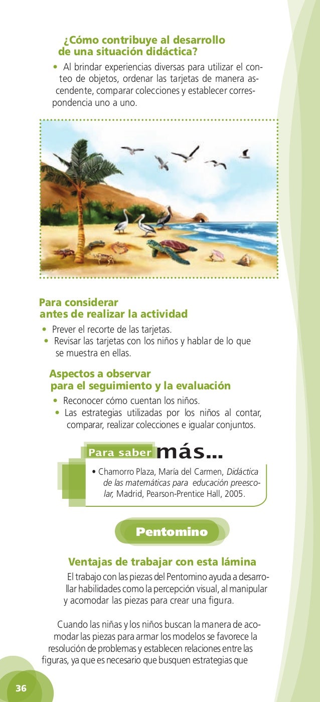 Carmen Chamorro Didactica De Las Matematicas Pdf