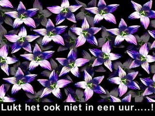 Lukt het ook niet in een uur…..! 
