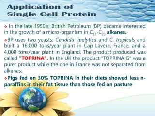  In the late 1950's, British Petroleum (BP) became interested
in the growth of a micro-organism in C12-C20 alkanes.
BP uses two yeasts, Candida lipolytica and C. tropicals and
built a 16,000 tons/year plant in Cap Lavera, France, and a
4,000 tons/year plant in England. The product produced was
called "TOPRINA". In the UK the product "TOPRINA G" was a
purer product while the one in France was not separated from
alkanes.
Pigs fed on 30% TOPRINA in their diets showed less n-
paraffins in their fat tissue than those fed on pasture
 