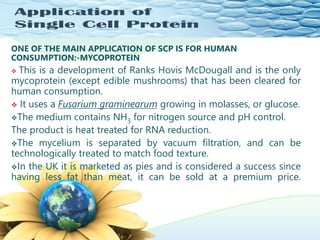 ONE OF THE MAIN APPLICATION OF SCP IS FOR HUMAN
CONSUMPTION:-MYCOPROTEIN
 This is a development of Ranks Hovis McDougall and is the only
mycoprotein (except edible mushrooms) that has been cleared for
human consumption.
 It uses a Fusarium graminearum growing in molasses, or glucose.
The medium contains NH3 for nitrogen source and pH control.
The product is heat treated for RNA reduction.
The mycelium is separated by vacuum filtration, and can be
technologically treated to match food texture.
In the UK it is marketed as pies and is considered a success since
having less fat than meat, it can be sold at a premium price.
 