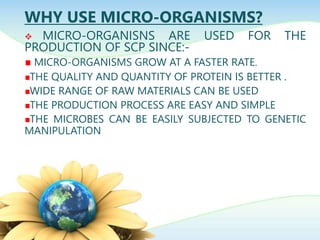 WHY USE MICRO-ORGANISMS?
 MICRO-ORGANISNS ARE USED FOR THE
PRODUCTION OF SCP SINCE:-
MICRO-ORGANISMS GROW AT A FASTER RATE.
THE QUALITY AND QUANTITY OF PROTEIN IS BETTER .
WIDE RANGE OF RAW MATERIALS CAN BE USED
THE PRODUCTION PROCESS ARE EASY AND SIMPLE
THE MICROBES CAN BE EASILY SUBJECTED TO GENETIC
MANIPULATION
 
