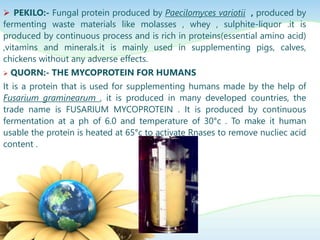  PEKILO:- Fungal protein produced by Paecilomyces variotii , produced by
fermenting waste materials like molasses , whey , sulphite-liquor .it is
produced by continuous process and is rich in proteins(essential amino acid)
,vitamins and minerals.it is mainly used in supplementing pigs, calves,
chickens without any adverse effects.
 QUORN:- THE MYCOPROTEIN FOR HUMANS
It is a protein that is used for supplementing humans made by the help of
Fusarium graminearum , it is produced in many developed countries, the
trade name is FUSARIUM MYCOPROTEIN . It is produced by continuous
fermentation at a ph of 6.0 and temperature of 30°c . To make it human
usable the protein is heated at 65°c to activate Rnases to remove nucliec acid
content .
 