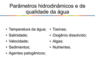 Parâmetros hidrodinâmicos e de
qualidade da água
● Temperatura da água;
● Salinidade;
● Velocidade;
● Sedimentos;
● Agentes patogênicos;
● Toxinas;
● Oxigênio dissolvido;
● Algas;
● Nutrientes.
 