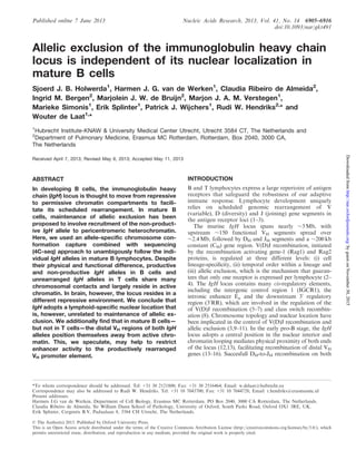 Allelic exclusion of the immunoglobulin heavy chain
locus is independent of its nuclear localization in
mature B cells
Sjoerd J. B. Holwerda1
, Harmen J. G. van de Werken1
, Claudia Ribeiro de Almeida2
,
Ingrid M. Bergen2
, Marjolein J. W. de Bruijn2
, Marjon J. A. M. Verstegen1
,
Marieke Simonis1
, Erik Splinter1
, Patrick J. Wijchers1
, Rudi W. Hendriks2,
* and
Wouter de Laat1,
*
1
Hubrecht Institute-KNAW & University Medical Center Utrecht, Utrecht 3584 CT, The Netherlands and
2
Department of Pulmonary Medicine, Erasmus MC Rotterdam, Rotterdam, Box 2040, 3000 CA,
The Netherlands
Received April 7, 2013; Revised May 6, 2013; Accepted May 11, 2013
ABSTRACT
In developing B cells, the immunoglobulin heavy
chain (IgH) locus is thought to move from repressive
to permissive chromatin compartments to facili-
tate its scheduled rearrangement. In mature B
cells, maintenance of allelic exclusion has been
proposed to involve recruitment of the non-product-
ive IgH allele to pericentromeric heterochromatin.
Here, we used an allele-specific chromosome con-
formation capture combined with sequencing
(4C-seq) approach to unambigously follow the indi-
vidual IgH alleles in mature B lymphocytes. Despite
their physical and functional difference, productive
and non-productive IgH alleles in B cells and
unrearranged IgH alleles in T cells share many
chromosomal contacts and largely reside in active
chromatin. In brain, however, the locus resides in a
different repressive environment. We conclude that
IgH adopts a lymphoid-specific nuclear location that
is, however, unrelated to maintenance of allelic ex-
clusion. We additionally find that in mature B cells—
but not in T cells—the distal VH regions of both IgH
alleles position themselves away from active chro-
matin. This, we speculate, may help to restrict
enhancer activity to the productively rearranged
VH promoter element.
INTRODUCTION
B and T lymphocytes express a large repertoire of antigen
receptors that safeguard the robustness of our adaptive
immune response. Lymphocyte development uniquely
relies on scheduled genomic rearrangement of V
(variable), D (diversity) and J (joining) gene segments in
the antigen receptor loci (1–3).
The murine IgH locus spans nearly $3 Mb, with
upstream $150 functional VH segments spread over
$2.4 Mb, followed by DH and JH segments and a $200kb
constant (CH) gene region. V(D)J recombination, initiated
by the recombination activating gene-1 (Rag1) and Rag2
proteins, is regulated at three different levels: (i) cell
lineage-speciﬁcity, (ii) temporal order within a lineage and
(iii) allelic exclusion, which is the mechanism that guaran-
tees that only one receptor is expressed per lymphocyte (2–
4). The IgH locus contains many cis-regulatory elements,
including the intergenic control region 1 (IGCR1), the
intronic enhancer Em and the downstream 30
regulatory
region (30
RR), which are involved in the regulation of the
of V(D)J recombination (5–7) and class switch recombin-
ation (8). Chromosome topology and nuclear location have
been implicated in the control of V(D)J recombination and
allelic exclusion (3,9–11). In the early pro-B stage, the IgH
locus adopts a central position in the nuclear interior and
chromatin looping mediates physical proximity of both ends
of the locus (12,13), facilitating recombination of distal VH
genes (13–16). Succesfull DH-to-JH recombination on both
*To whom correspondence should be addressed. Tel: +31 30 2121800; Fax: +31 30 2516464; Email: w.delaat@hubrecht.eu
Correspondence may also be addressed to Rudi W. Hendriks. Tel: +31 10 7043700; Fax: +31 10 7044728; Email: r.hendriks@erasmusmc.nl
Present addresses:
Harmen J.G van de Werken, Department of Cell Biology, Erasmus MC Rotterdam, PO Box 2040, 3000 CA Rotterdam, The Netherlands.
Claudia Ribeiro de Almeida, Sir William Dunn School of Pathology, University of Oxford, South Parks Road, Oxford OX1 3RE, UK.
Erik Splinter, Cergentis B.V, Padualaan 8, 3584 CH Utrecht, The Netherlands.
Published online 7 June 2013 Nucleic Acids Research, 2013, Vol. 41, No. 14 6905–6916
doi:10.1093/nar/gkt491
ß The Author(s) 2013. Published by Oxford University Press.
This is an Open Access article distributed under the terms of the Creative Commons Attribution License (http://creativecommons.org/licenses/by/3.0/), which
permits unrestricted reuse, distribution, and reproduction in any medium, provided the original work is properly cited.
byguestonNovember30,2015http://nar.oxfordjournals.org/Downloadedfrom
 